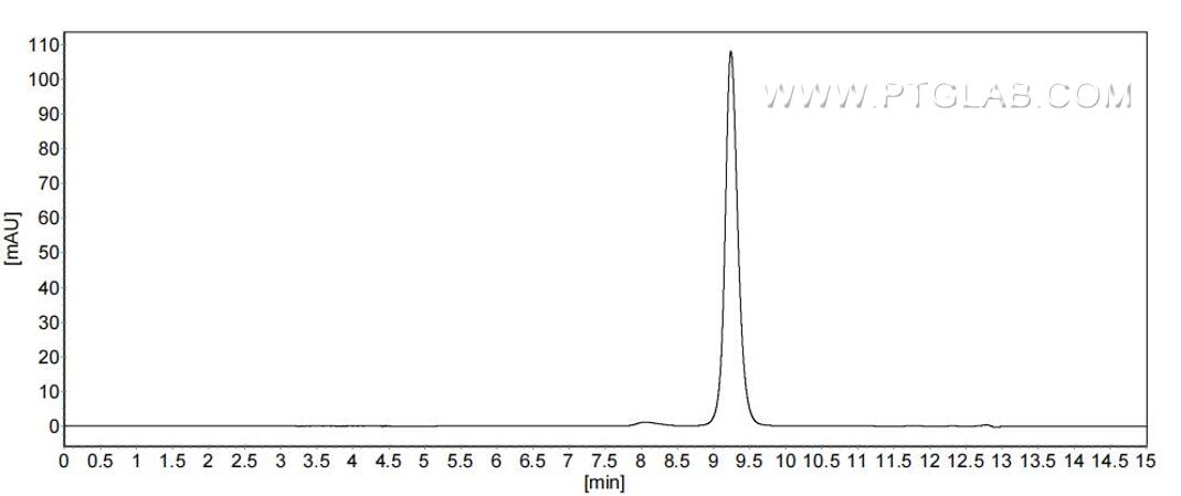 The purity of Human PLA2G1B was greater than 90% as determined by SEC-HPLC.