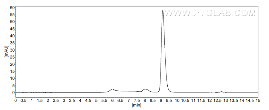 The purity of Human IFNA17 was greater than 90% as determined by SEC-HPLC.