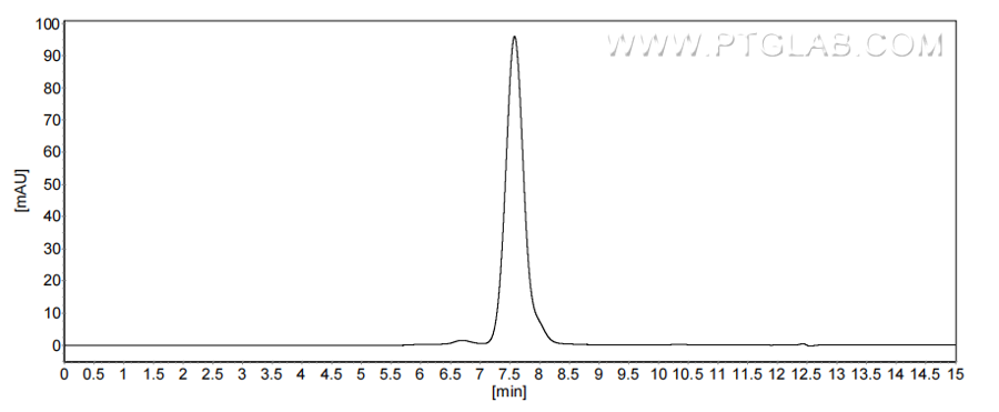 The purity of Human MerTK was greater than 90% as determined by SEC-HPLC. The purity of Human MerTK was greater than 90% as determined by SEC-HPLC.