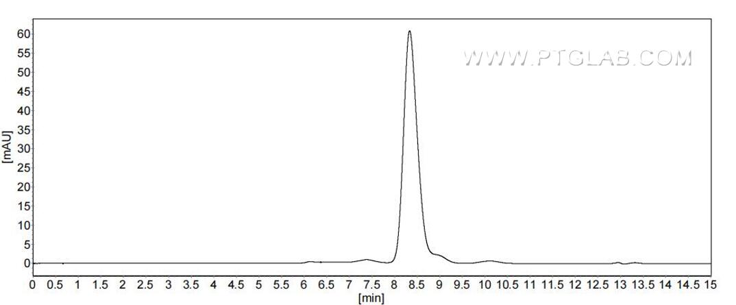 The purity of Human FOLR3 was greater than 90% as determined by SEC-HPLC.