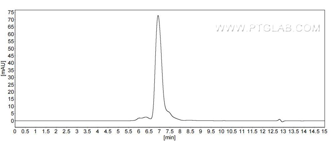 The purity of Rat TrkA was greater than 90% as determined by SEC-HPLC.