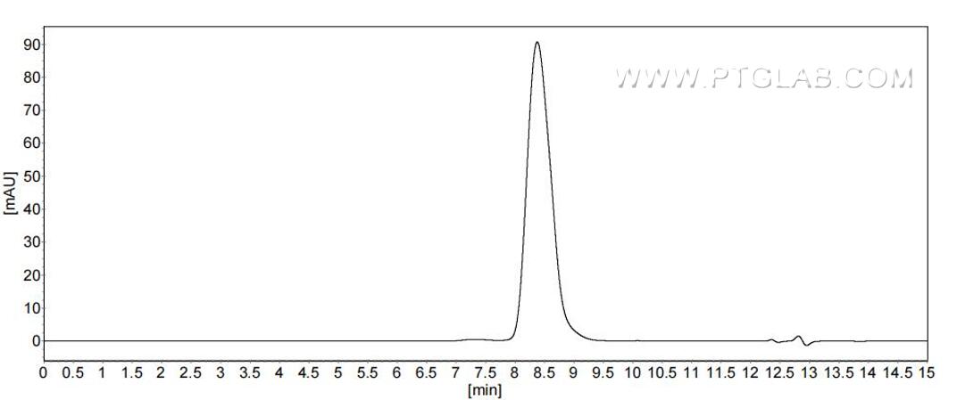 The purity of Rat CD63 was greater than 90% as determined by SEC-HPLC. The purity of Rat CD63 was greater than 90% as determined by SEC-HPLC.