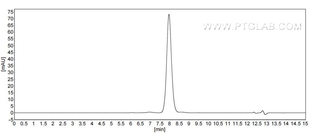 The purity of Rat Angiotensinogen was greater than 90% as determined by SEC-HPLC. The purity of Rat Angiotensinogen was greater than 90% as determined by SEC-HPLC.