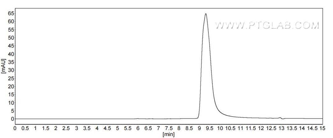 The purity of Mouse CCL12 was greater than 90% as determined by SEC-HPLC.