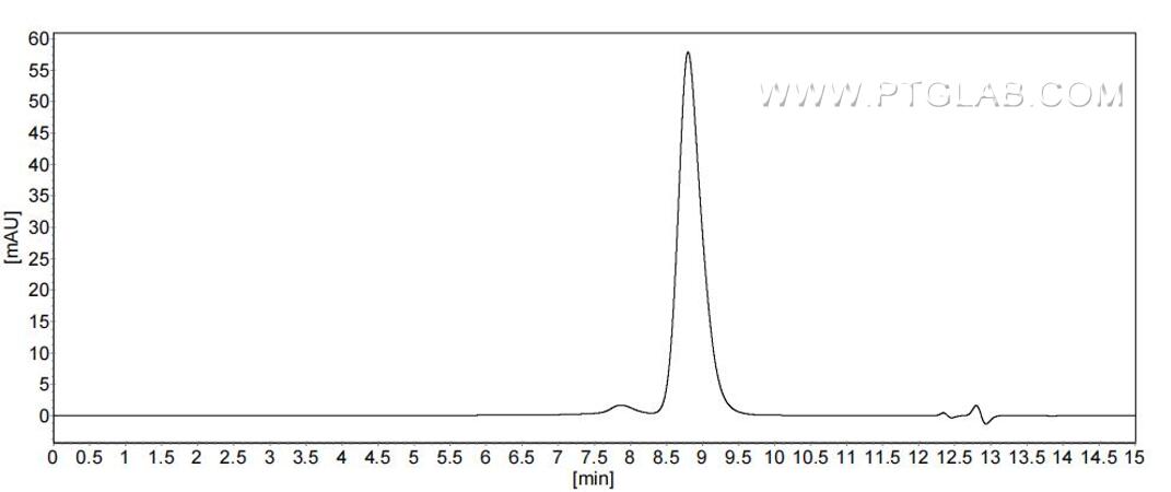 The purity of Human hCG Alpha was greater than 90% as determined by SEC-HPLC. The purity of Human hCG Alpha was greater than 90% as determined by SEC-HPLC.