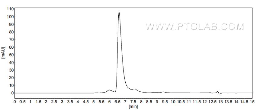 The purity of Rat Agrin was greater than 90% as determined by SEC-HPLC.