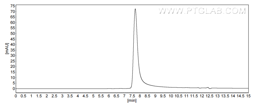 The purity of Human CXCL2 was greater than 90% as determined by SEC-HPLC. The purity of Human CXCL2 was greater than 90% as determined by SEC-HPLC.