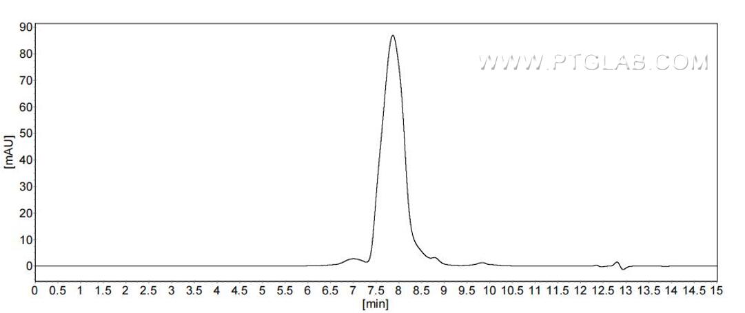 The purity of Human IL-10RB was greater than 90% as determined by SEC-HPLC.