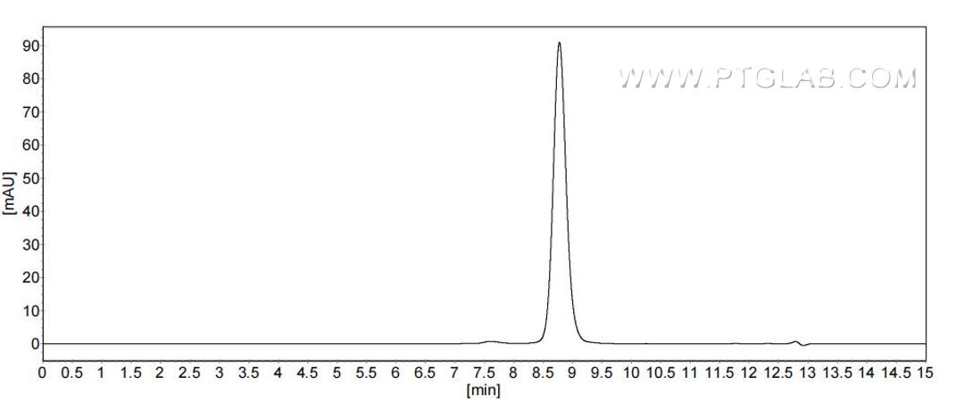 The purity of Rat CD90 was greater than 90% as determined by SEC-HPLC.