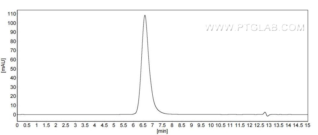 The purity of Human LAMP3 was greater than 90% as determined by SEC-HPLC.
