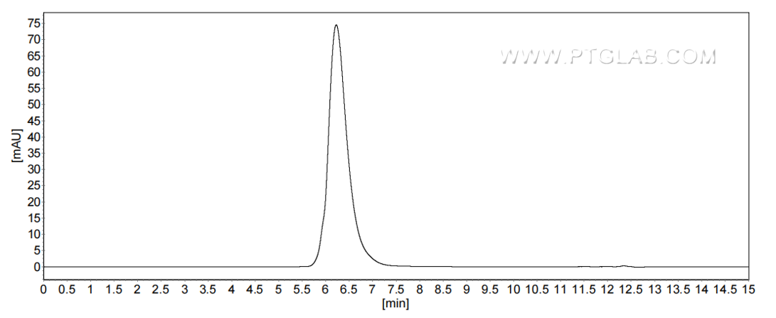 The purity of Human CLEC3B was greater than 90% as determined by SEC-HPLC. The purity of Human CLEC3B was greater than 90% as determined by SEC-HPLC.
