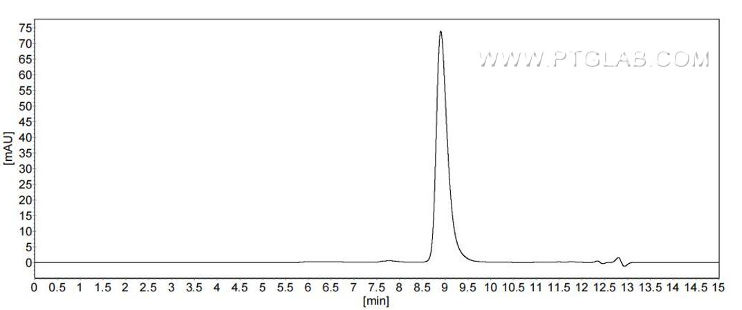 The purity of Human Chemerin was greater than 90% as determined by SEC-HPLC.