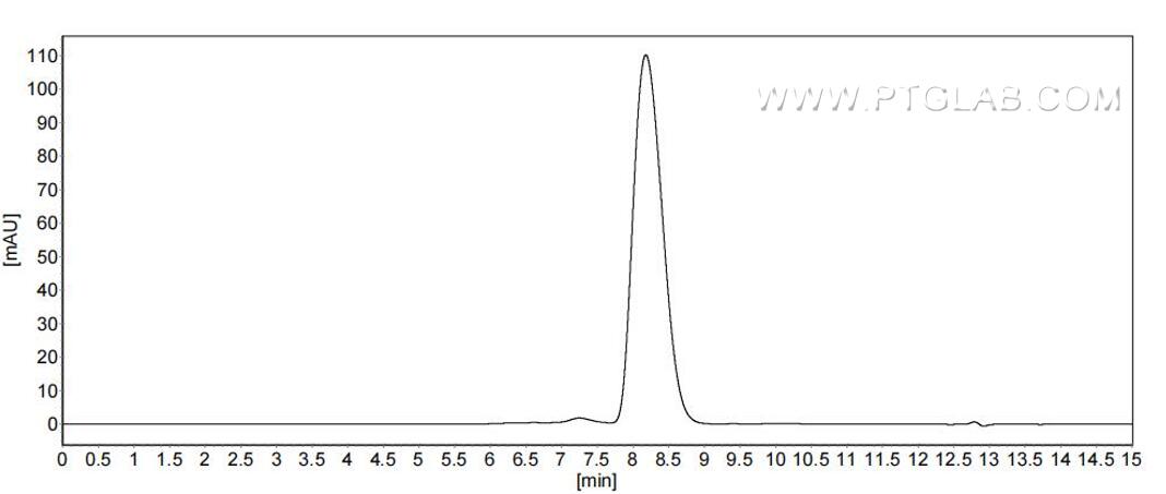 The purity of Mouse CD69 was greater than 90% as determined by SEC-HPLC. The purity of Mouse CD69 was greater than 90% as determined by SEC-HPLC.
