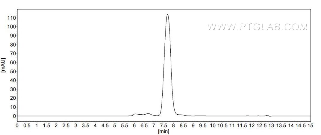 The purity of Rat CD80 was greater than 90% as determined by SEC-HPLC.