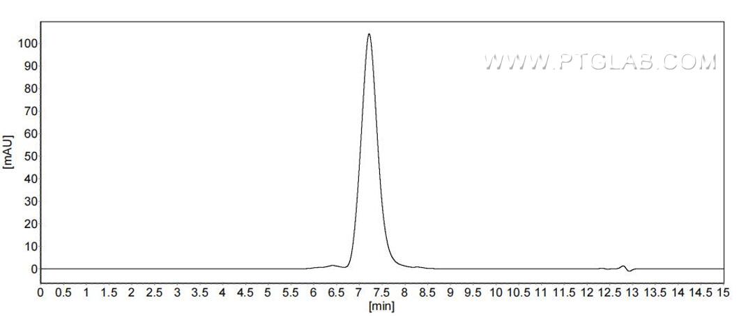 The purity of Mouse LAMP-1 was greater than 90% as determined by SEC-HPLC.