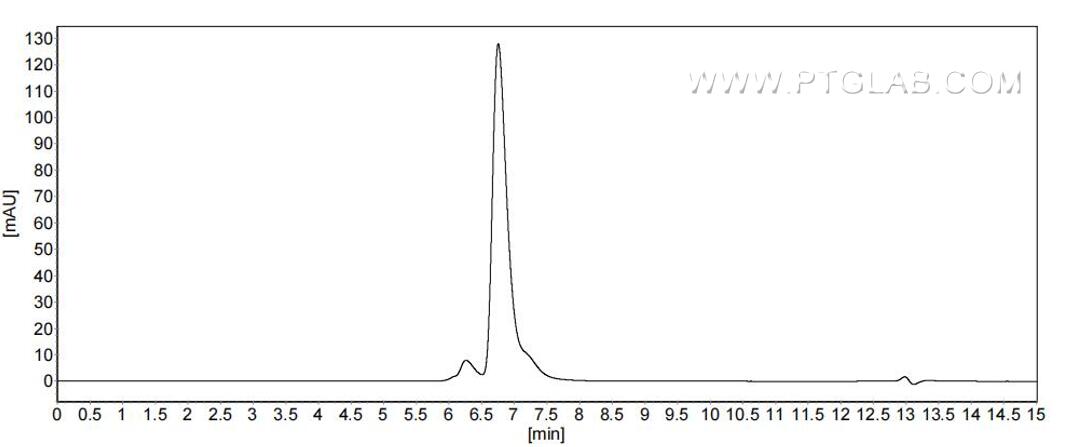 The purity of Human G-CSFR was greater than 90% as determined by SEC-HPLC.