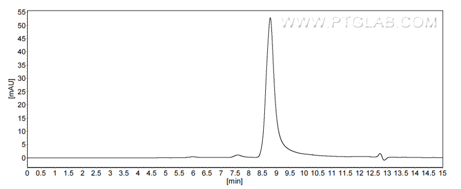 The purity of Human Granzyme A was greater than 90% as determined by SEC-HPLC. The purity of Human Granzyme A was greater than 90% as determined by SEC-HPLC.