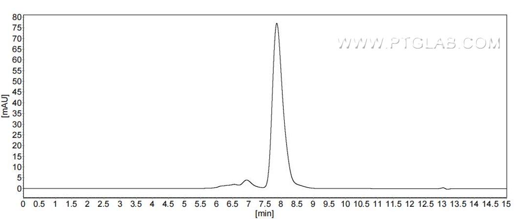 The purity of Human Ephrin B1 was greater than 90% as determined by SEC-HPLC. The purity of Human Ephrin B1 was greater than 90% as determined by SEC-HPLC.