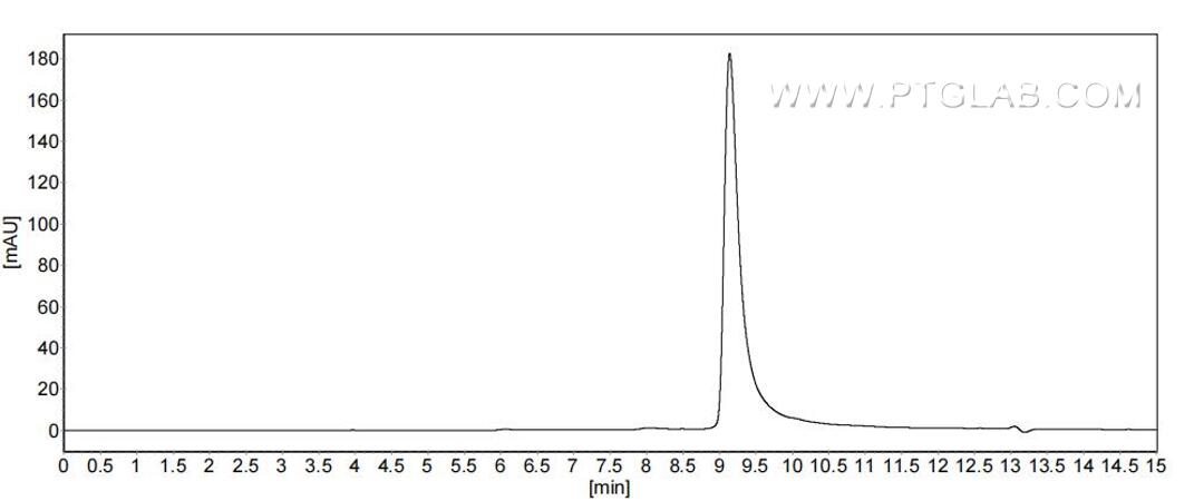 The purity of Mouse SLPI was greater than 90% as determined by SEC-HPLC. The purity of Mouse SLPI was greater than 90% as determined by SEC-HPLC.
