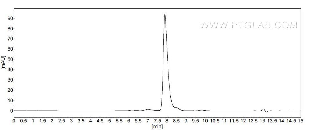 The purity of Mouse IL-17RB was greater than 90% as determined by SEC-HPLC.