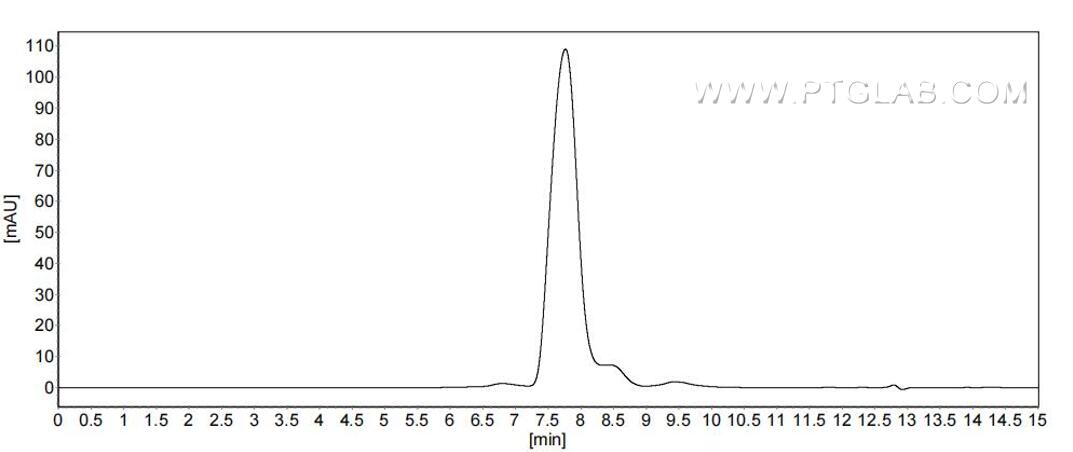 The purity of Human CD58 was greater than 90% as determined by SEC-HPLC.
