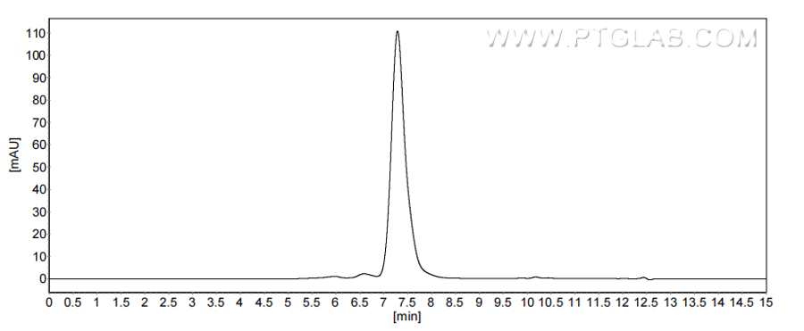 The purity of Human CCL23 was greater than 90% as determined by SEC-HPLC.