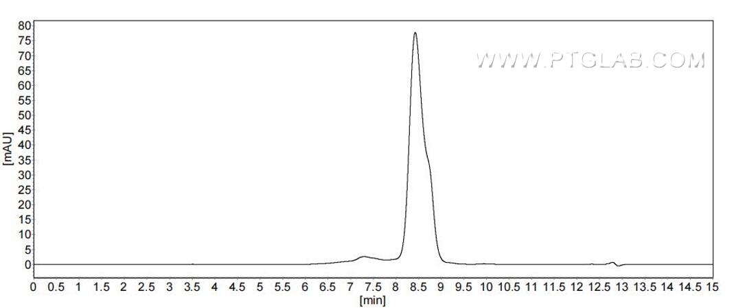 The purity of Human LAIR2 was greater than 90% as determined by SEC-HPLC. The purity of Human LAIR2 was greater than 90% as determined by SEC-HPLC.