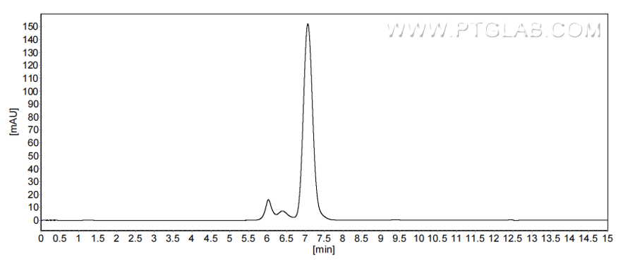 The purity of Canine IL-2 was greater than 90% as determined by SEC-HPLC. The purity of Canine IL-2 was greater than 90% as determined by SEC-HPLC.