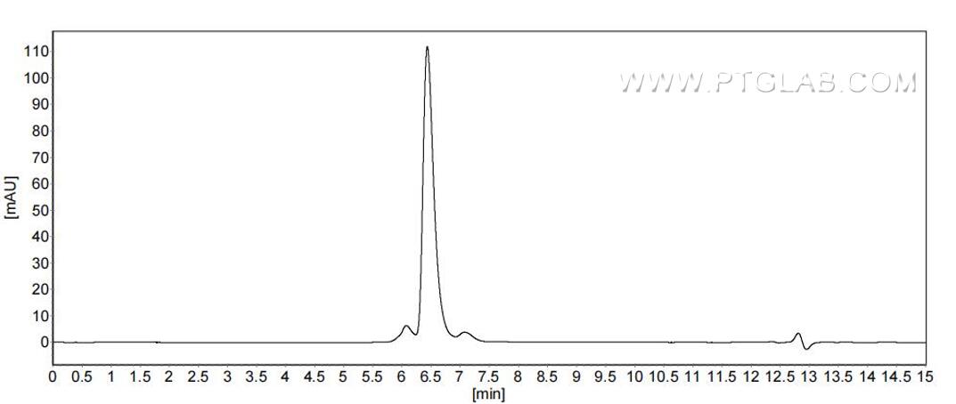 The purity of Rhesus Monkey VCAM-1 was greater than 90% as determined by SEC-HPLC.