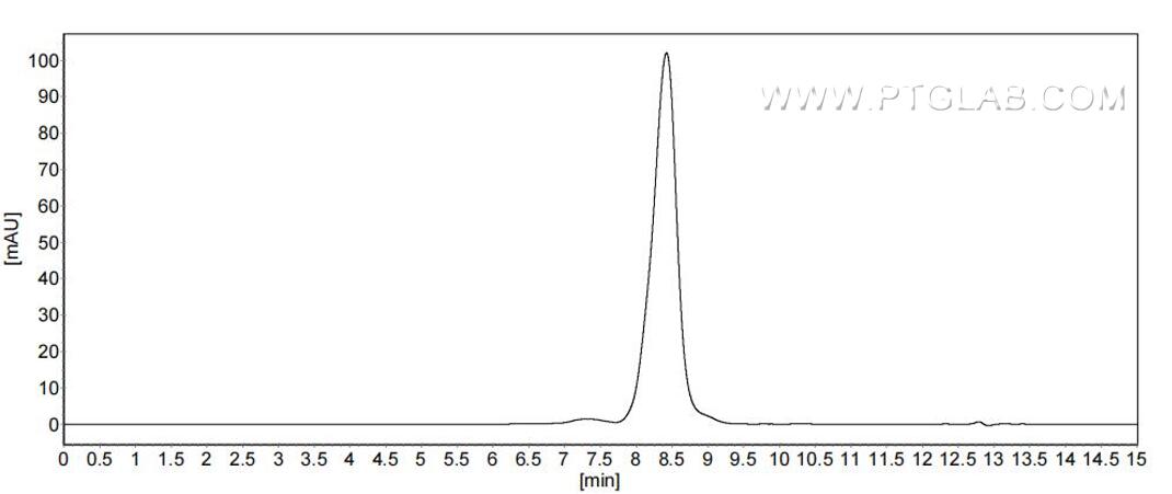 The purity of Human DR4 was greater than 90% as determined by SEC-HPLC.