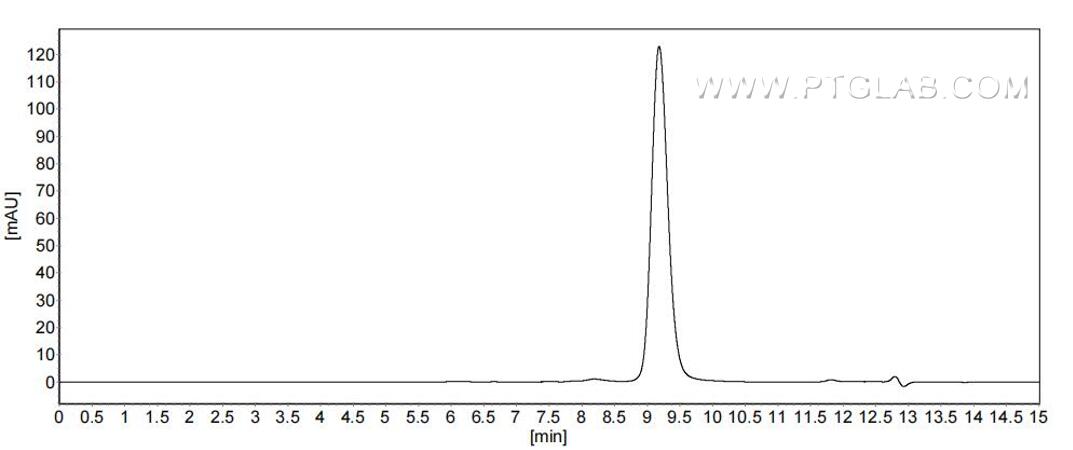 The purity of Human Lysozyme was greater than 90% as determined by SEC-HPLC. The purity of Human Lysozyme was greater than 90% as determined by SEC-HPLC.