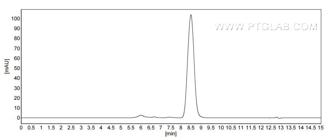 The purity of Mouse Interferon alpha 13 was greater than 90% as determined by SEC-HPLC.