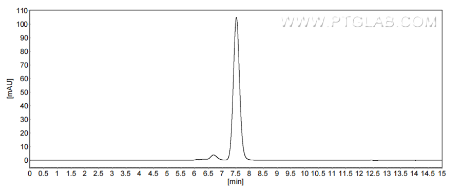 The purity of Human Cystatin SN/CST1 was greater than 90% as determined by SEC-HPLC. The purity of Human Cystatin SN/CST1 was greater than 90% as determined by SEC-HPLC.