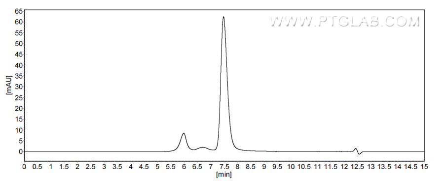The purity of Human IFNA16 was greater than 90% as determined by SEC-HPLC.