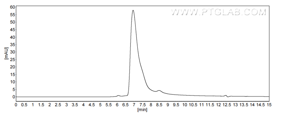 The purity of Mouse CD32B/Fcgr2b was greater than 90% as determined by SEC-HPLC.