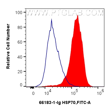 FC experiment of HeLa using 66183-1-Ig