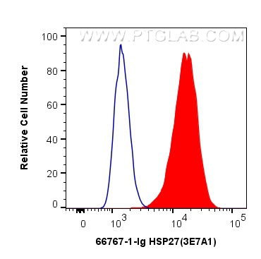 FC experiment of HepG2 using 66767-1-Ig