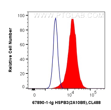 FC experiment of HeLa using 67890-1-Ig