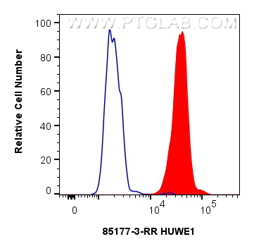 FC experiment of HeLa using 85177-3-RR (same clone as 85177-3-PBS)
