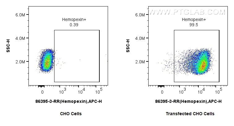 1x10^6 CHO cells or Transfected CHO cells were intracellularly stained with 0.25 ug Hemopexin Recombinant monoclonal antibody (86395-3-RR, Clone:250345E5) and CoraLite647-conjugated F(ab')2 Fragment Donkey Anti-Rabbit IgG (H+L) (<a class='green' href='/productredirect?CatalogNo=SA00014-7' target='_blank'>SA00014-7</a>). Cells were fixed with 4% PFA and permeabilized with Flow Cytometry Perm Buffer. FC experiment of Transfected CHO using 86395-3-RR
