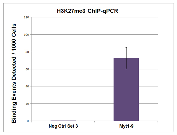 Histone H3K27me3 antibody (pAb) tested by ChIP. Chromatin immunoprecipitation (ChIP) was performed using the ChIP-IT High Sensitivity Kit (Cat. No. 53040) with 15 ug of chromatin from HeLa cells and 5 ul H3K27me3 antibody. ChIP DNA was used in qPCR with the control primer pairs or gene-specific primer pairs as indicated. Data are presented as Binding Events Detected per 1000 Cells using Active Motif's Epigenetic Services normalization scheme which accounts for primer efficiency and the amount of chromatin used in the ChIP reaction. Histone H3K27me3 antibody (pAb) tested by ChIP. Chromatin immunoprecipitation (ChIP) was performed using the ChIP-IT High Sensitivity Kit (Cat. No. 53040) with 15 ug of chromatin from HeLa cells and 5 ul H3K27me3 antibody. ChIP DNA was used in qPCR with the control primer pairs or gene-specific primer pairs as indicated. Data are presented as Binding Events Detected per 1000 Cells using Active Motif's Epigenetic Services normalization scheme which accounts for primer efficiency and the amount of chromatin used in the ChIP reaction.