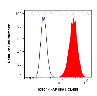 FC experiment of THP-1 using 10904-1-AP