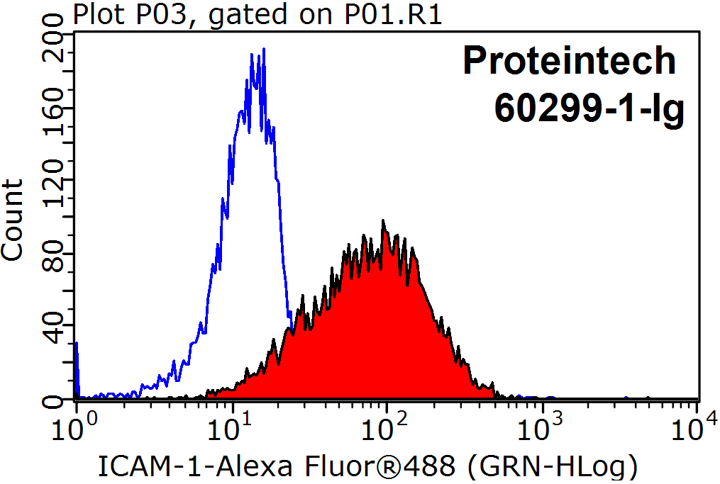 ICAM-1 Monoclonal antibody