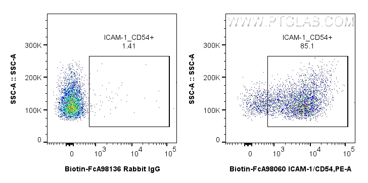 FC experiment of rat splenocytes using Biotin-FcA98060 FC experiment of rat splenocytes using Biotin-FcA98060