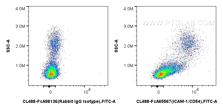 FC experiment of human PBMCs using CL488-FcA65567 FC experiment of human PBMCs using CL488-FcA65567