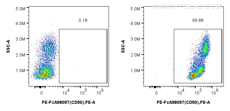 FC experiment of human PBMCs using PE-FcA98097