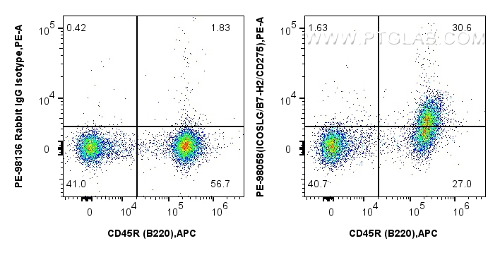 1x10^6 mouse splenocytes were surface stained with 0.1 ug APC Anti-Mouse CD45R (B220) (RA3-6B2) (<a class='green' href='/productredirect?CatalogNo=APC-65139' target='_blank'>APC-65139</a>, Clone: RA3-6B2), and 0.1 ug PE Anti-Mouse ICOSLG/B7-H2/CD275 Rabbit RecAb (PE-98058, Clone: 240243G5) or 0.1 ug PE Rabbit IgG Isotype Control RecAb (<a class='green' href='/productredirect?CatalogNo=PE-98136' target='_blank'>PE-98136</a>, Clone: 240953C9). Cells were not fixed. FC experiment of mouse splenocytes using PE-98058