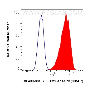 FC experiment of HeLa using CL488-66137