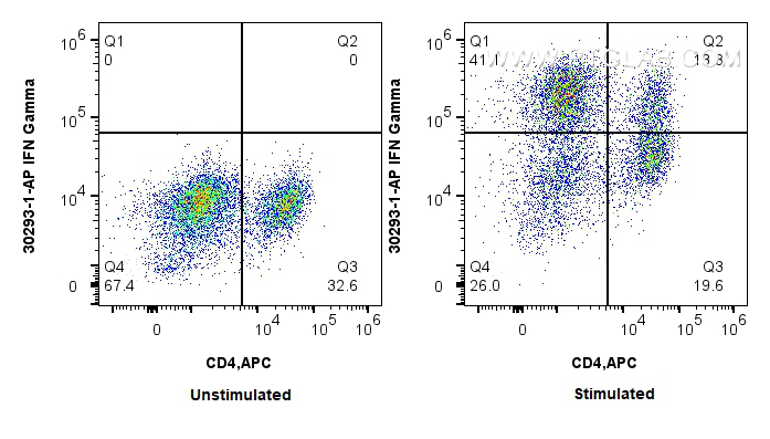 FC experiment of rat splenocytes using 30293-1-AP