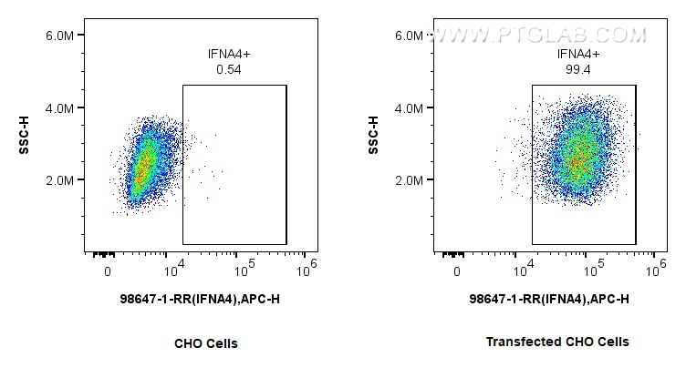 FC experiment of Transfected CHO using 98647-1-RR
